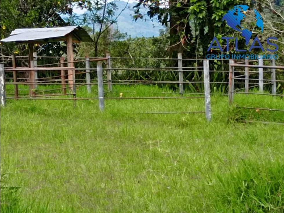 VENTA EXCELENTE FINCA EN GUADALUPE SANTANDER COD: 1029 - 1