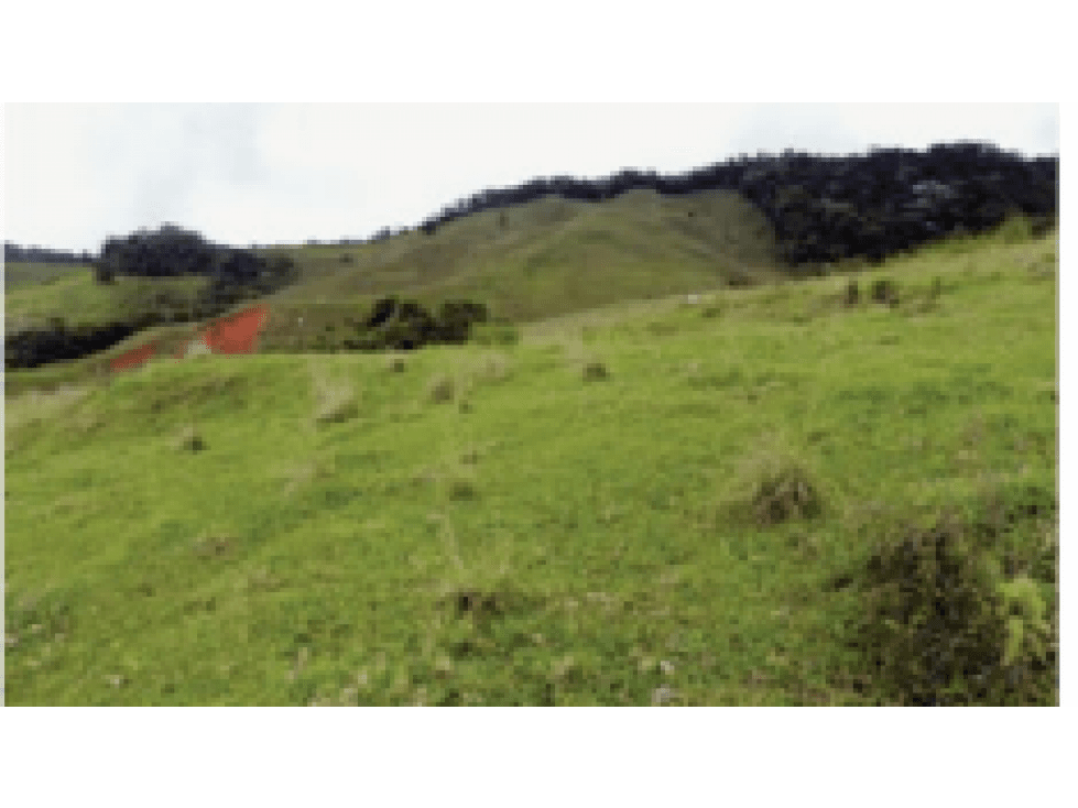 Lote rural Turín - Campoalegre, Versalles - Valle del Cauca - 1