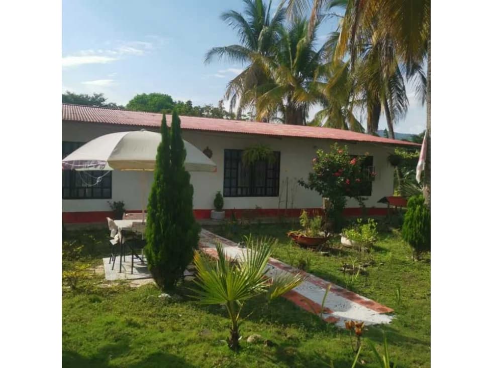 Venta de casa a 5 minutos del pueblo Coello departamento del Tolima - 1