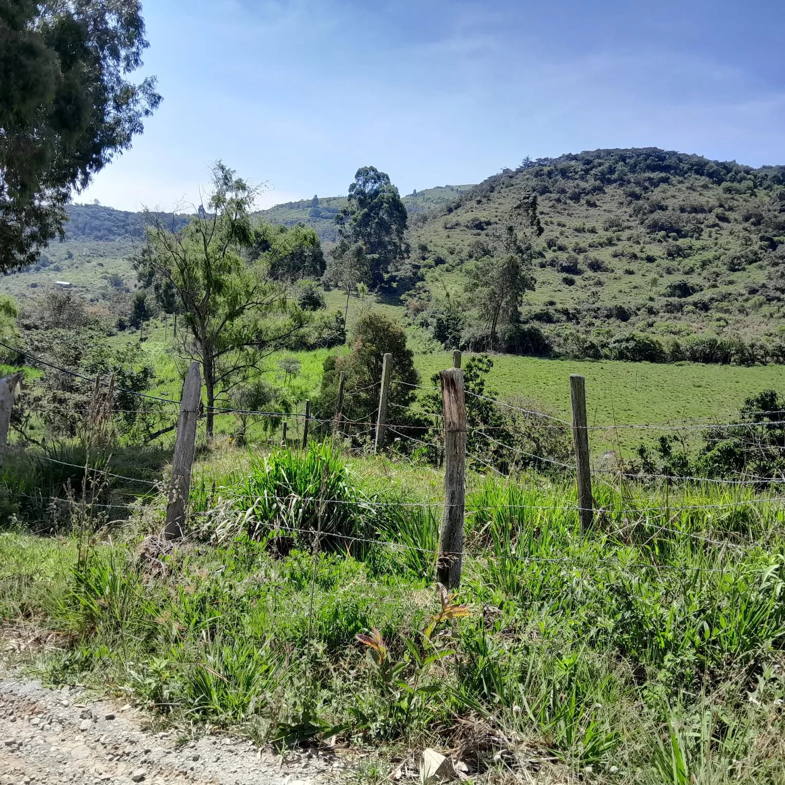 Venta Lote Rural, Ubaque, Vereda San Agustin - 1