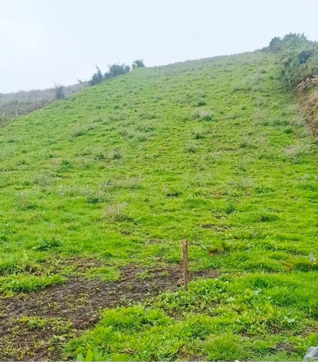 LOTE CAMPESTRE EN VENTA EN VILLAPINZÓN, CUNDINAMARCA - 1