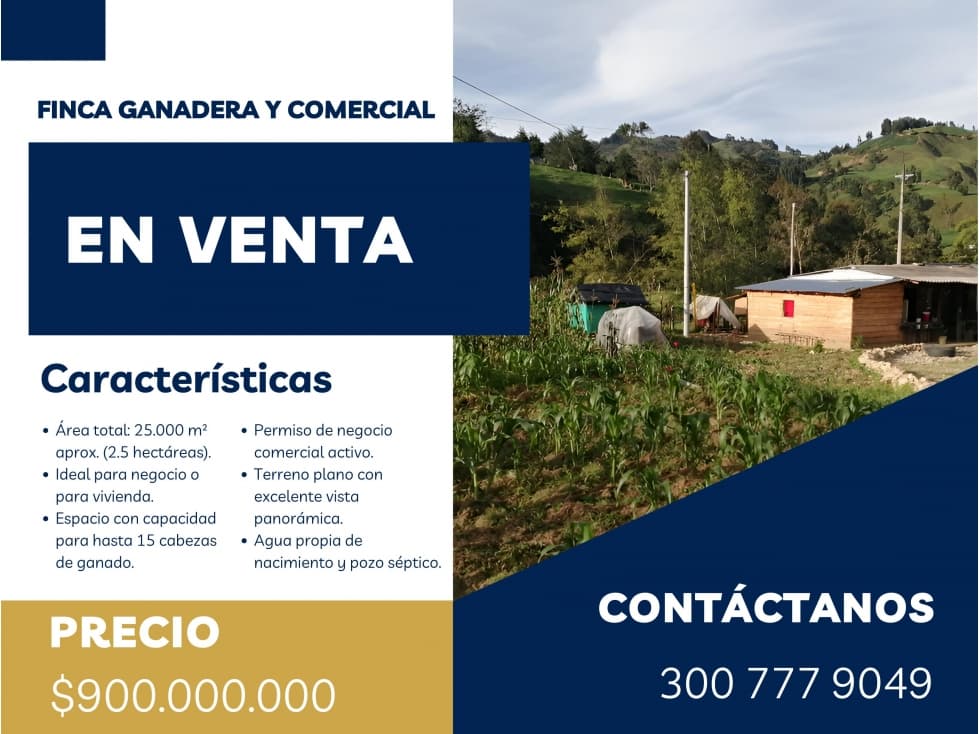 VENTA DE FINCA EN VEREDA ZANCUDITO - BELMIRA - 1
