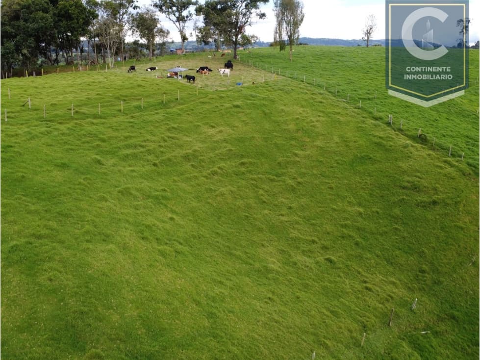 Venta Lote La Cuchilla San Pedro de los Milagros - 1