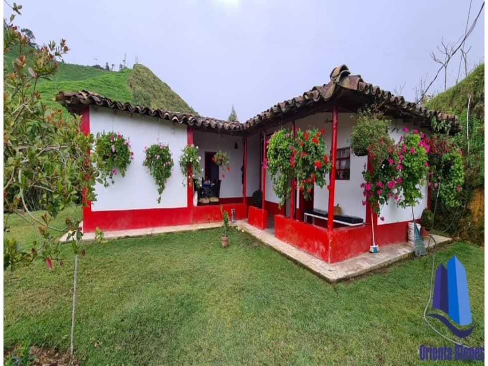Finca agroindustrial ubicada en el municipio de Abejorral Antioquia. - 1