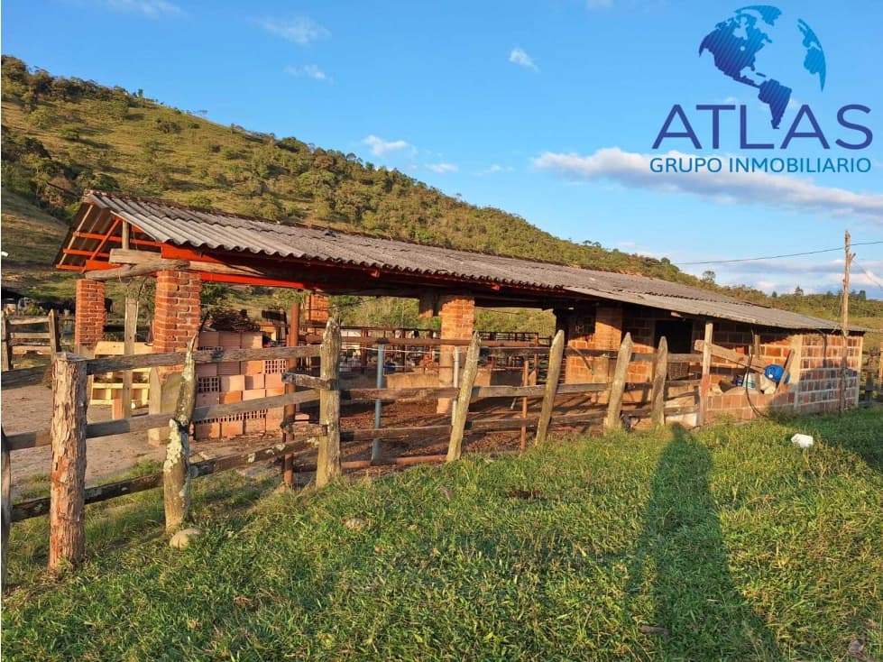 VENTA PERMUTA DE FINCA DE EN CHARALA SANTANDER COD :1050 - 1