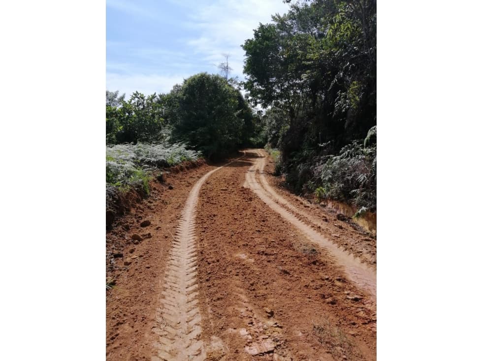 OPORTUNIDAD VENTA DE FINCA RIO NEGRO SANTANDER COD:1081 - 1