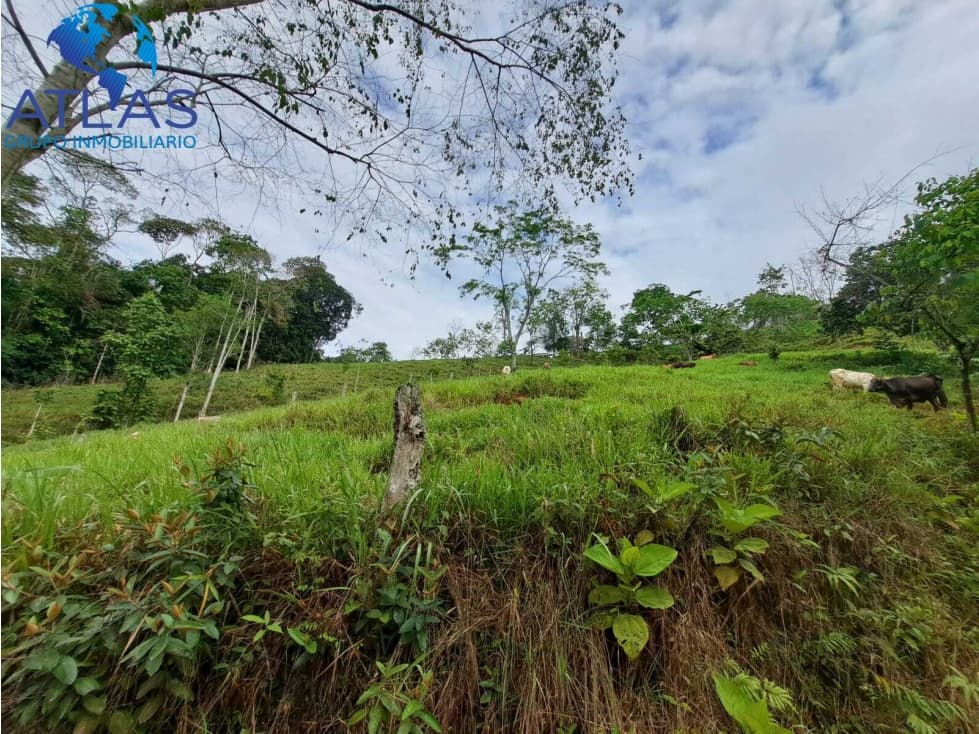 VENTA DE FINCA EN RIONEGRO SANTANDER COD:1146 - 1