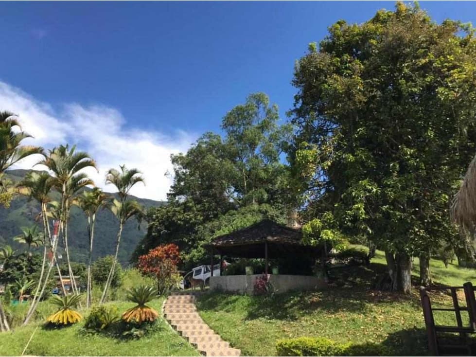 Finca en Venta en Amagá sector Camilo C - 1