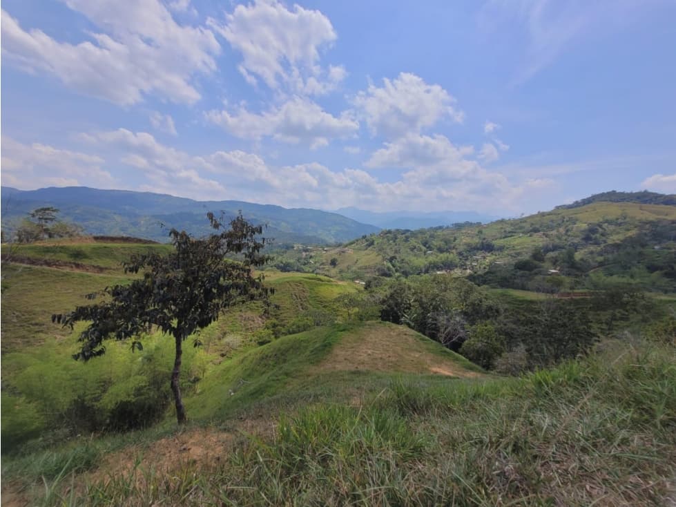 SE VENDEN LOTES EN SAN RAFAEL ANTIOQUIA - 1