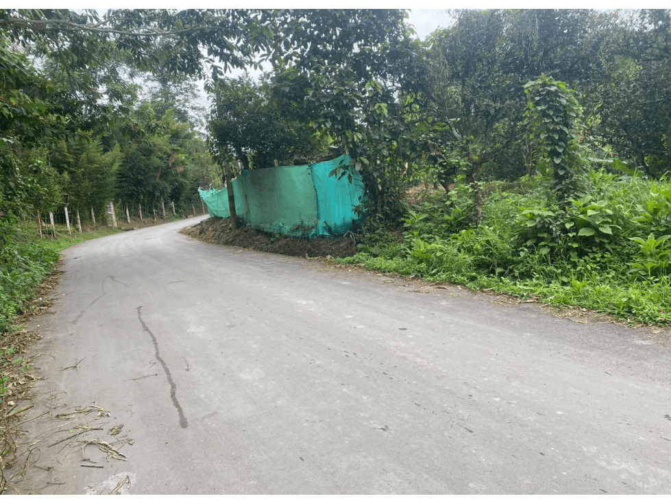 Venta de lote de 1000 M2 en 99 millones en Pradilla, Cund - 1
