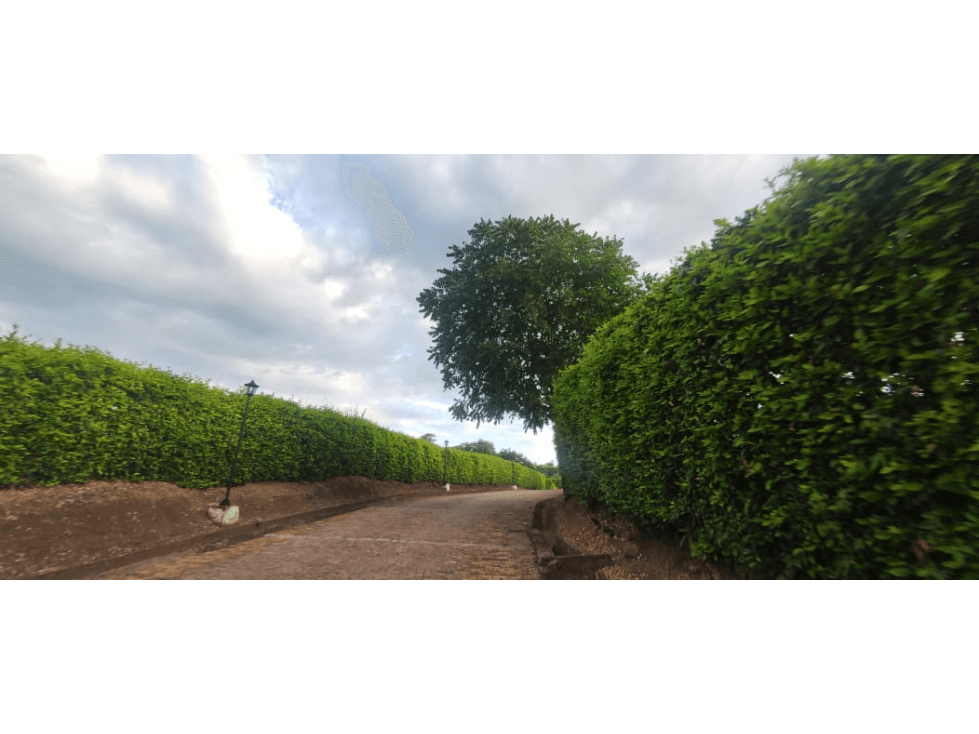 Se vende lote de 2473 M2 en 170 mill en La Mesa cund, Colombia - 1