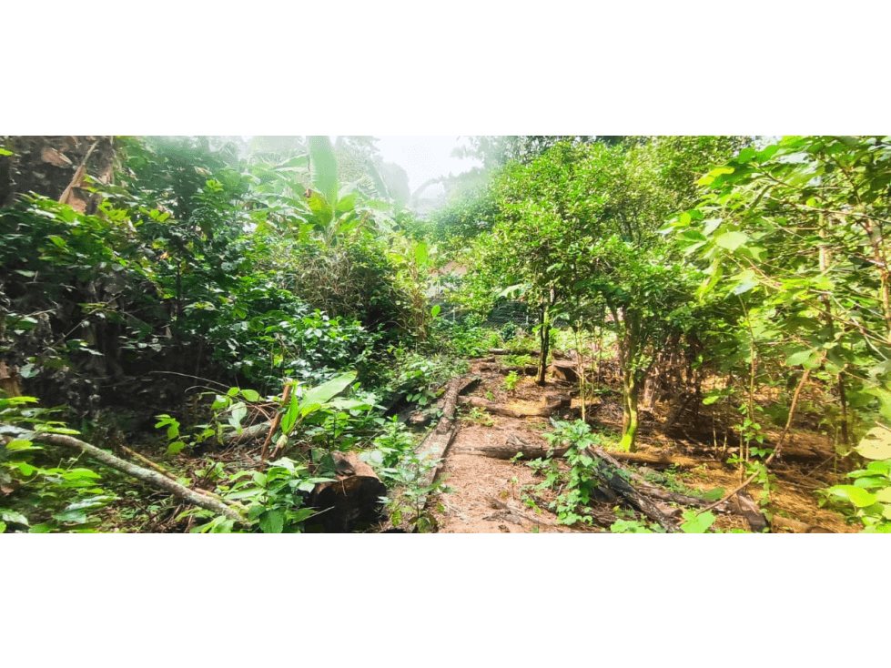 Lote 1006 M2 en 250 mill negociables en Tena Cund, COL - 1