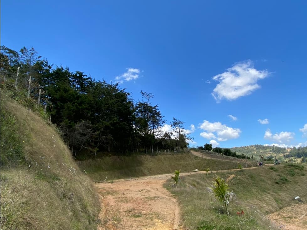 SE VENDE LOTE EN LA VEREDA SANTA RITA, SANTA RITA - 1