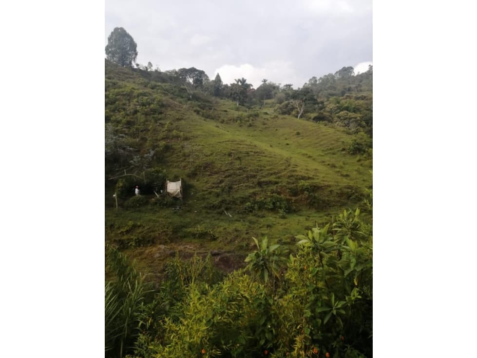 SE VENDE LOTE EN LA VIA EL PEÑOL-MARINILLA - 1