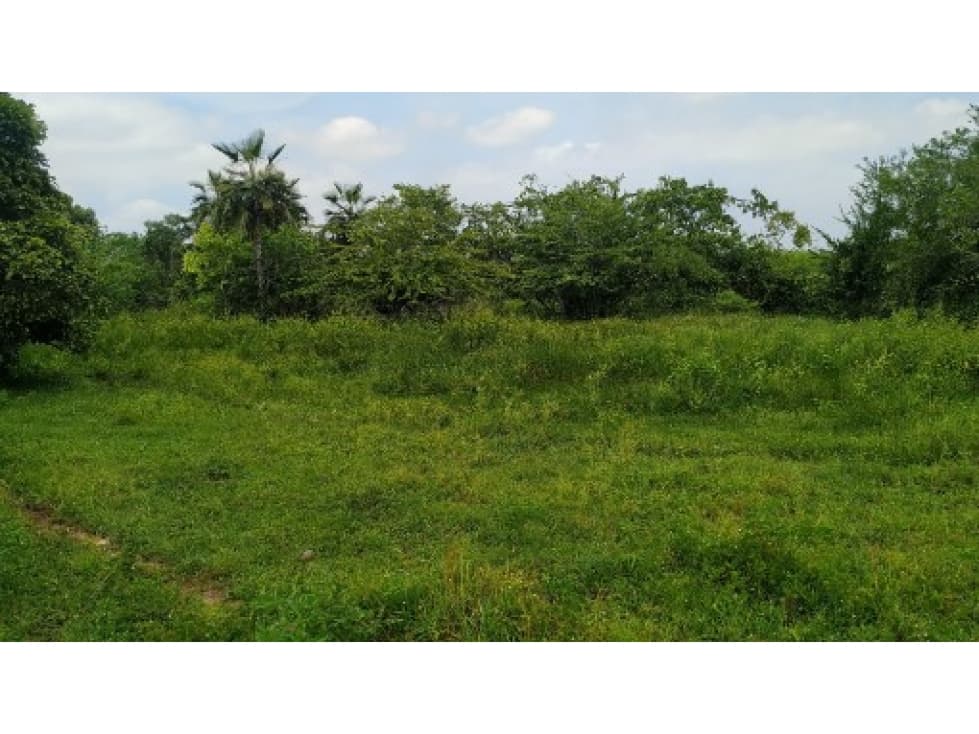 Lote 7,Vereda Majagual,Palmar de Varela - 1