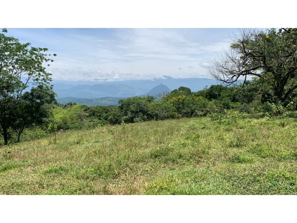 VENTA LOTE TÁMESIS, SUROESTE ANTIOQUEÑO - 1