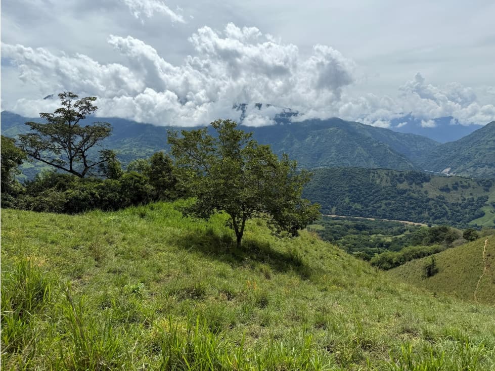 VENTA FINCA CONCORDIA, SUROESTE ANTIOQUEÑO - 1