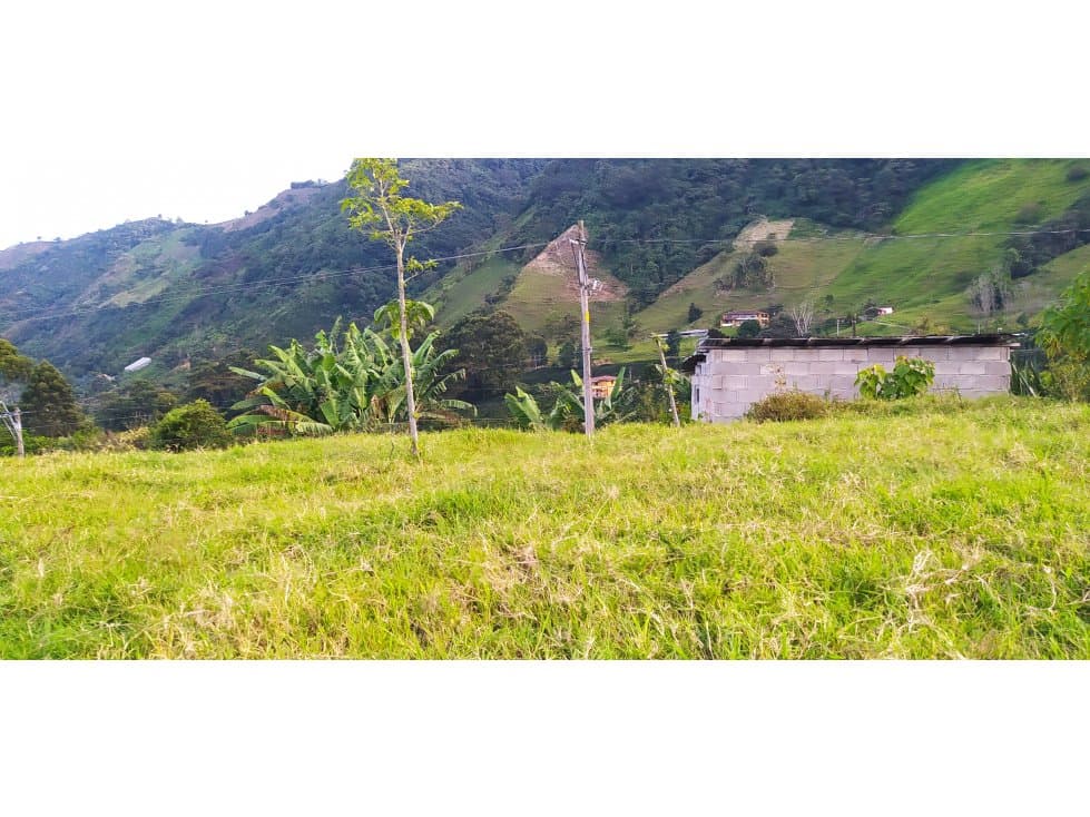 VENTA DE LOTE EN FREDONIA - SUROESTE ANTIOQUEÑO - 1