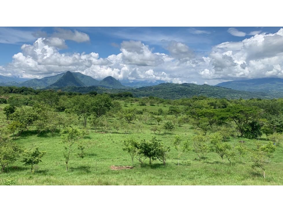 VENTA LOTE TÁMESIS - SUROESTE ANTIOQUEÑO - 1