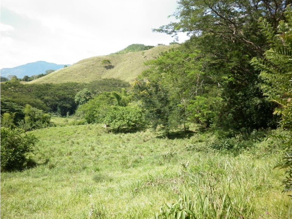 VENTA LOTE TARSO, SUROESTE ANTIOQUEÑO. - 1