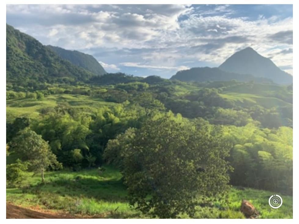VENTA LOTE VENECIA, SUROESTE ANTIOQUEÑO - 1