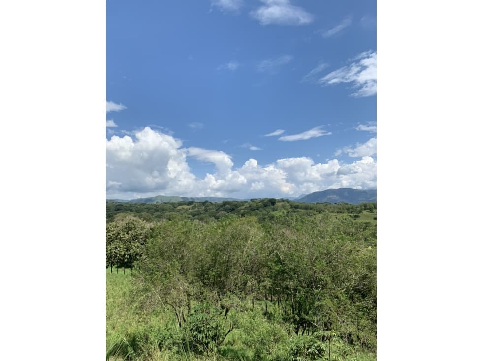 VENTA LOTE FREDONIA SUROESTE ANTIOQUEÑO - 1