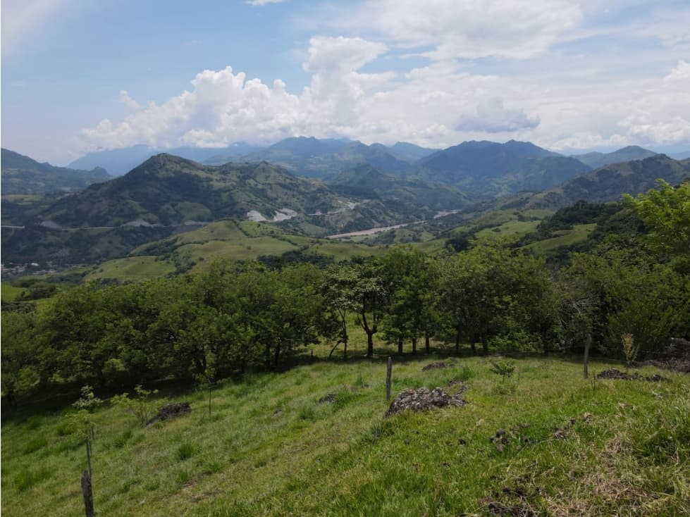 VENTA FINCA BOLOMBOLO, SUROESTE ANTIOQUEÑO. - 1
