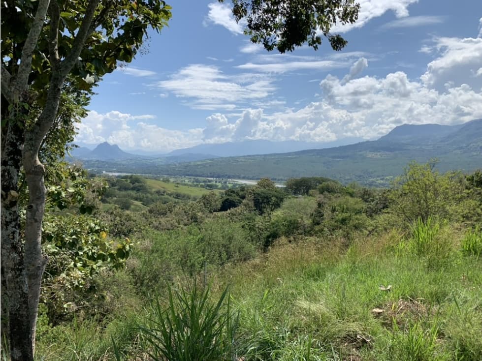 VENTA LOTE FREDONIA SUROESTE ANTIOQUEÑO - 1