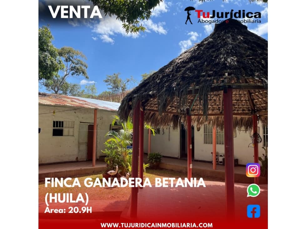 SE VENDE ESPECTACULAR FINCA GANADERA EN BETANIA (PALERMO - HUI - COL) - 1
