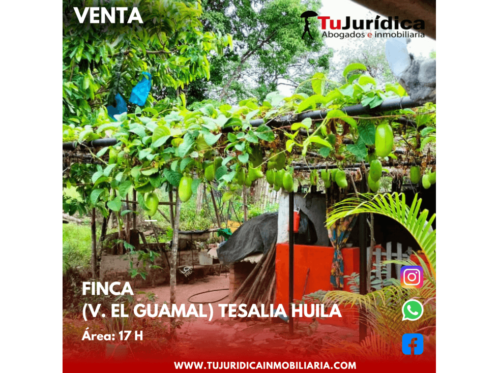 SE VENDE ESPECTACULAR FINCA V. EL GUAMAL TESALIA (HUI-COL) - 1