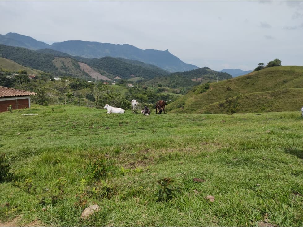 VENTA LOTE EN PARCELACION SAN CARLOS ANTIOQUIA - 1