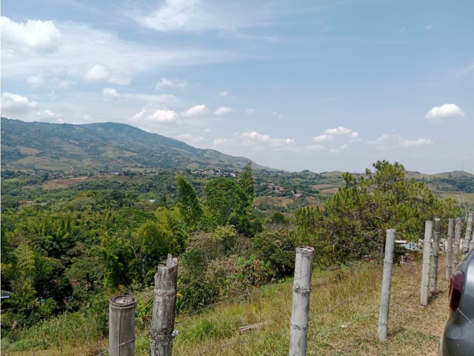 VENDO FINCA LOTE EN EL CAUCA MONDOMO EL TABLON ALG 7304569 - 1