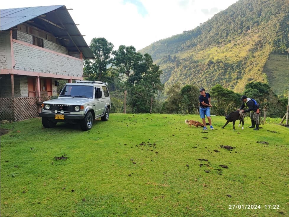 Vendo finca en las hermosas Ginebra valle 300 Hectáreas ALG 7314034 - 1