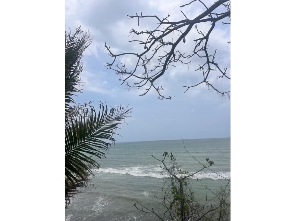 VENTA DE LOTE FRENTE A LA PLAYA EN PUERTO ESCONDIDO - 1