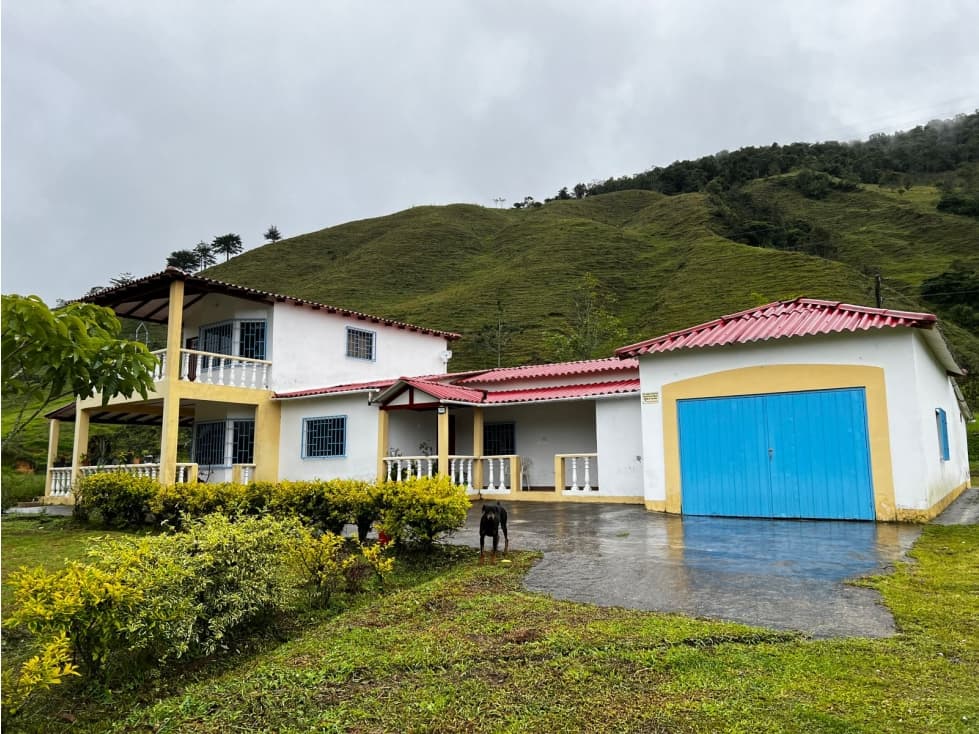HACIENDA GANADERA EN VENTA O PERMUTA URRAO ANTIOQUIA - 1