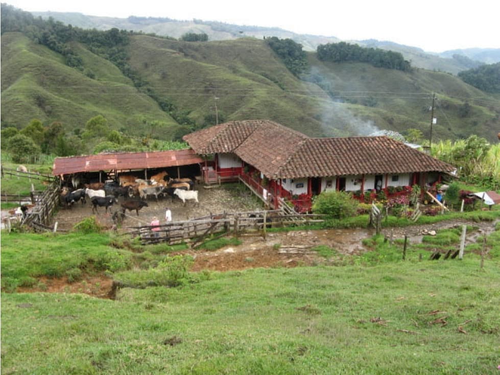 VENTA FINCA GANADERA EN TAMESIS, VEREDA SAN ANTONIO - 1
