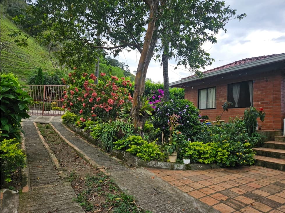 VENTA FINCA EN HISPANIA, A 1km DEL PARQUE - 1