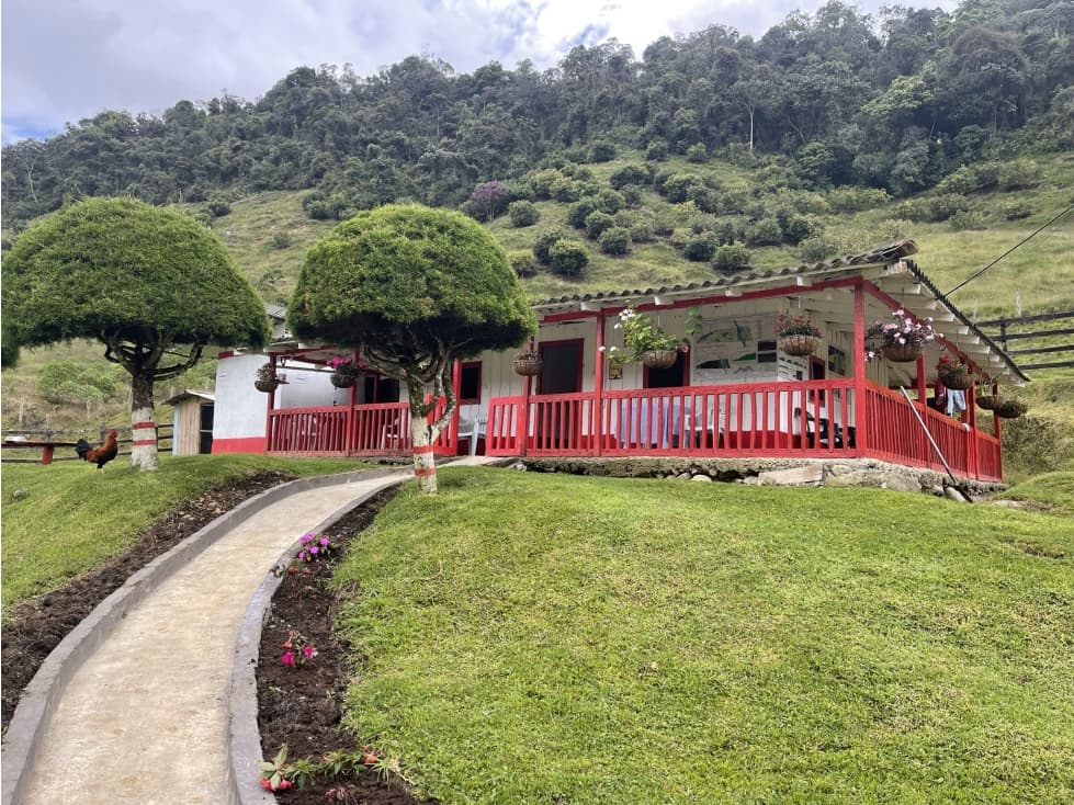 VENTA FINCA CARMEN DE ATRATO, SECTOR LA ARGELIA - 1