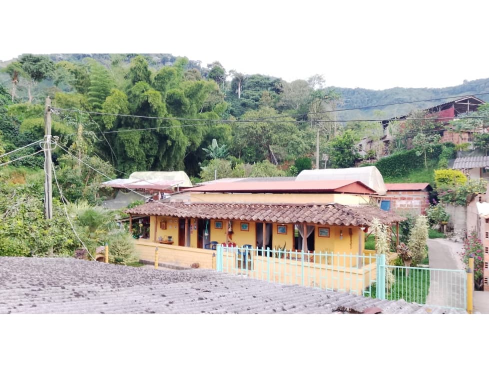 VENTA FINCA CAFETERA EN ANDES, SECTOR SAN PERUCHO - 1