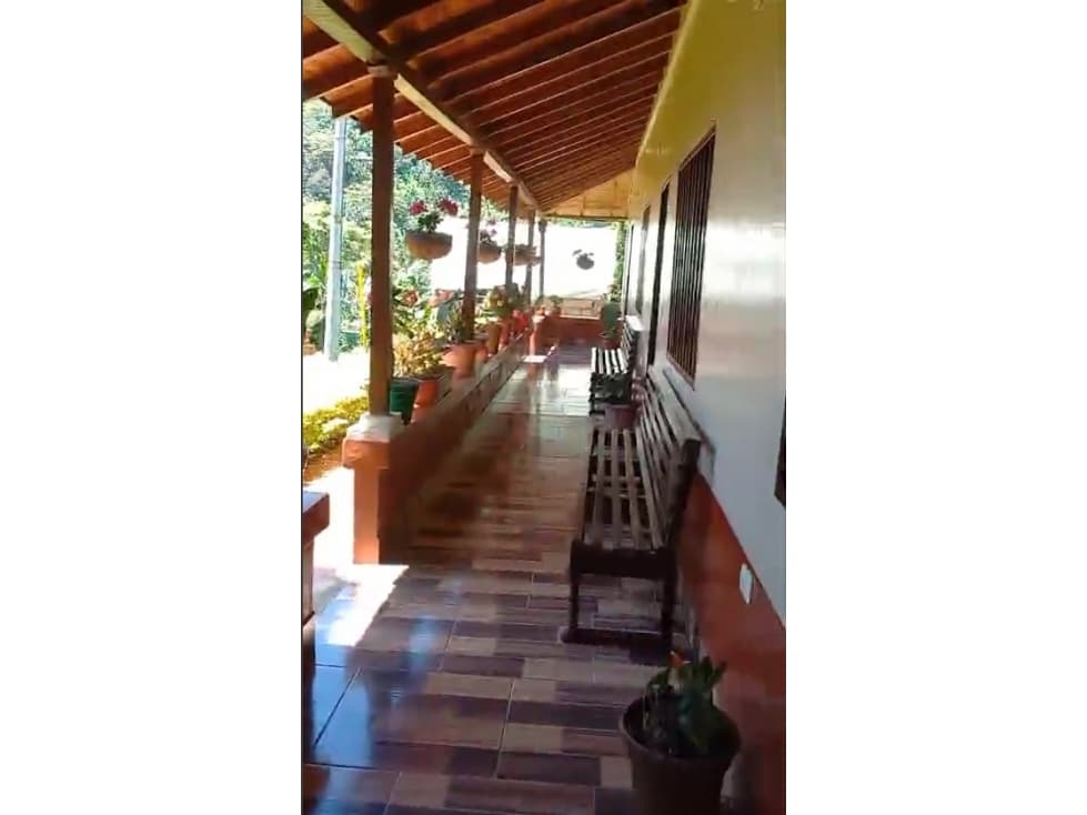 VENTA FINCA CAFETERA EN ANDES, VEREDA RISARALDA - 1
