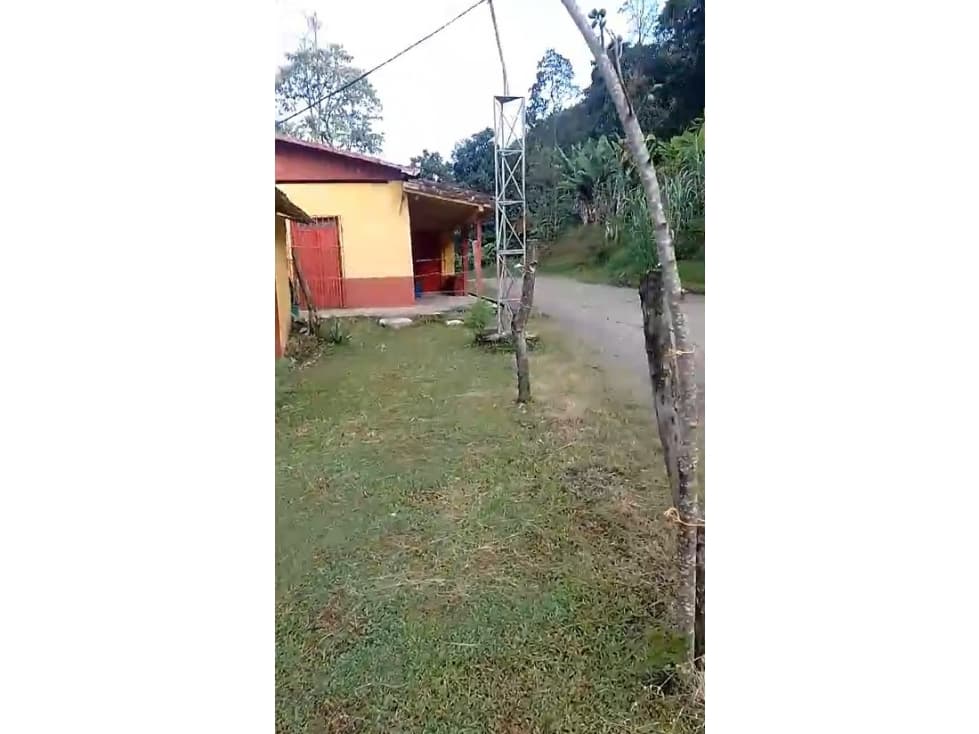 VENTA FINCA EN ANDES, SECTOR BUENOS AIRES - 1