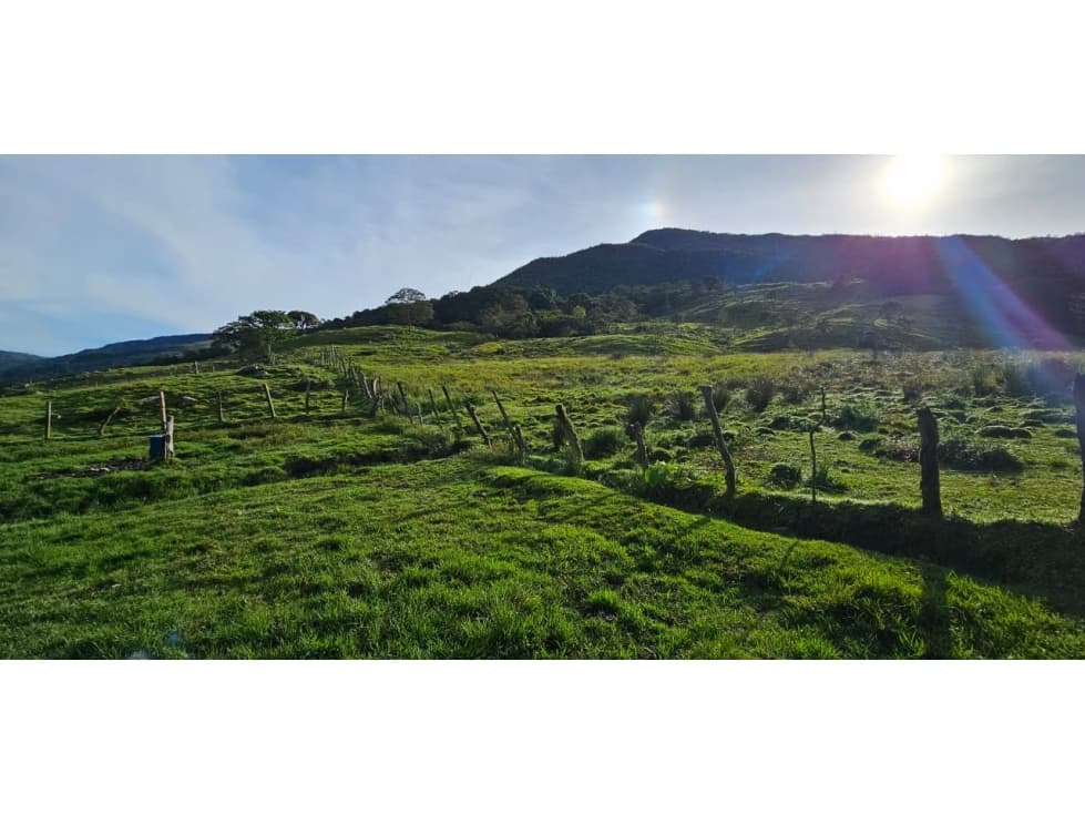 VENDO FINCA ECONOMICA ENTRE CHINACOTA Y RAGONVALIA - 1