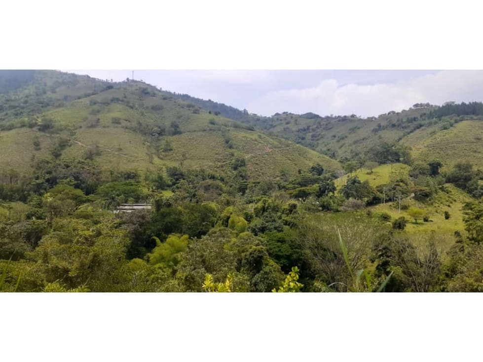 VENDO FINCA DE TRABAJO EN CIUDAD BOLIVAR DE 208 CUADRAS A 12 MINUTOS - 1