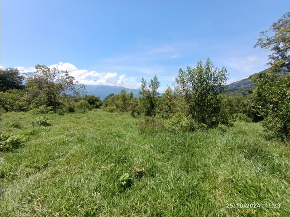 VENDO 5 LOTES DE 19 CUADRAS CADA UNO CERCA A MARSELLA EN FREDONIA - 1