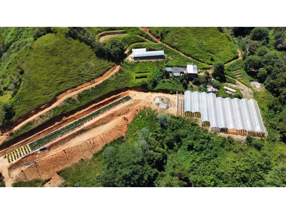 VENDO FINCA DE 240 HECTÁREAS PARA CULTIVOS Y GANADO EN CISNEROS - 1