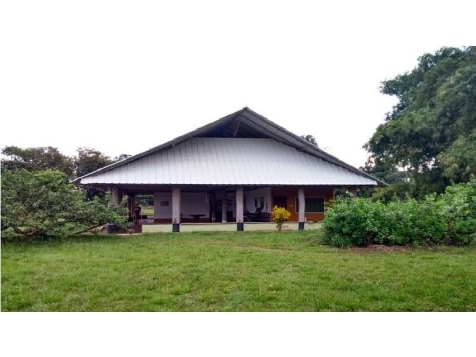 VENDO HACIENDA EN PUERTO GAITÁN EN EL META DE 990 HECTÁREAS - 1