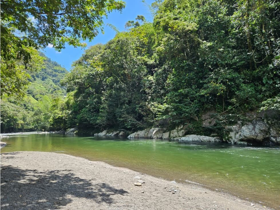 VENDO FINCA DE 6 HECTÁREAS CON INICIO DE GLAMPING Y CON RÍO EN COCORNÁ - 1