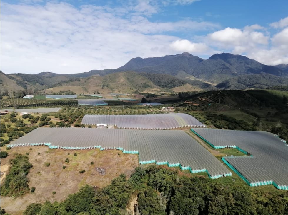 VENDO FINCA EN URRAO DE 63 HECTÁREAS DE VOCACIÓN AGRÍCOLA - 1