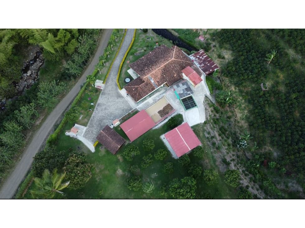 VENDO FINCA CAFETERA DE 8,3 CUADRAS EN CIUDAD BOLIVAR ANTIOQUIA - 1