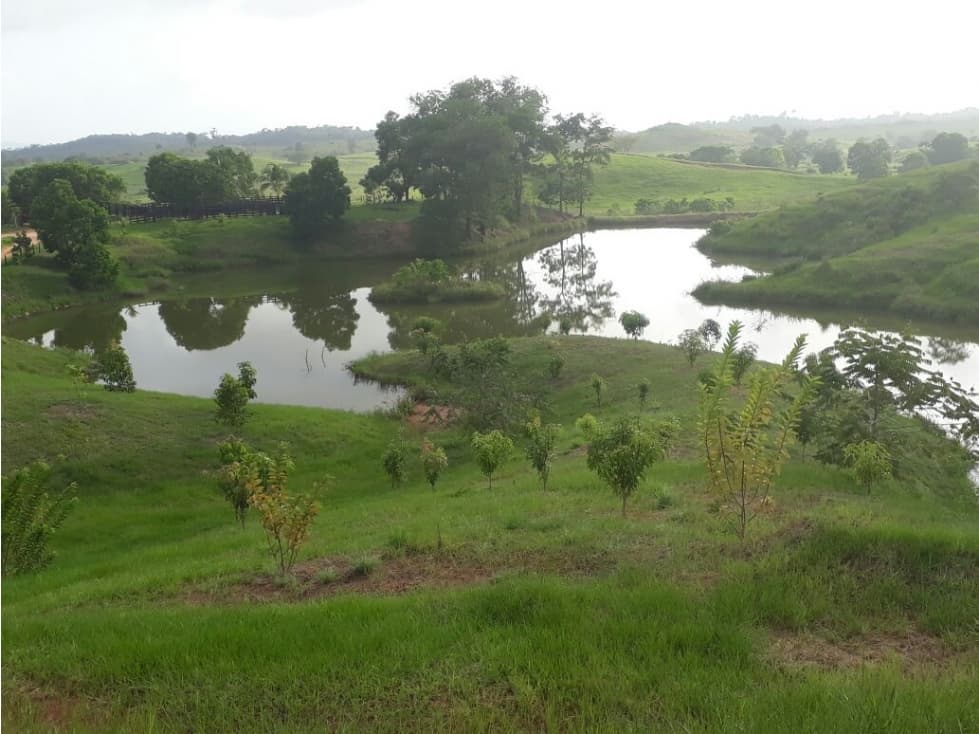 VENDO FINCA GIGANTE A BORDO DE PAVIMENTO EN EL BAJO CAUCA ANTIOQUEÑO - 1
